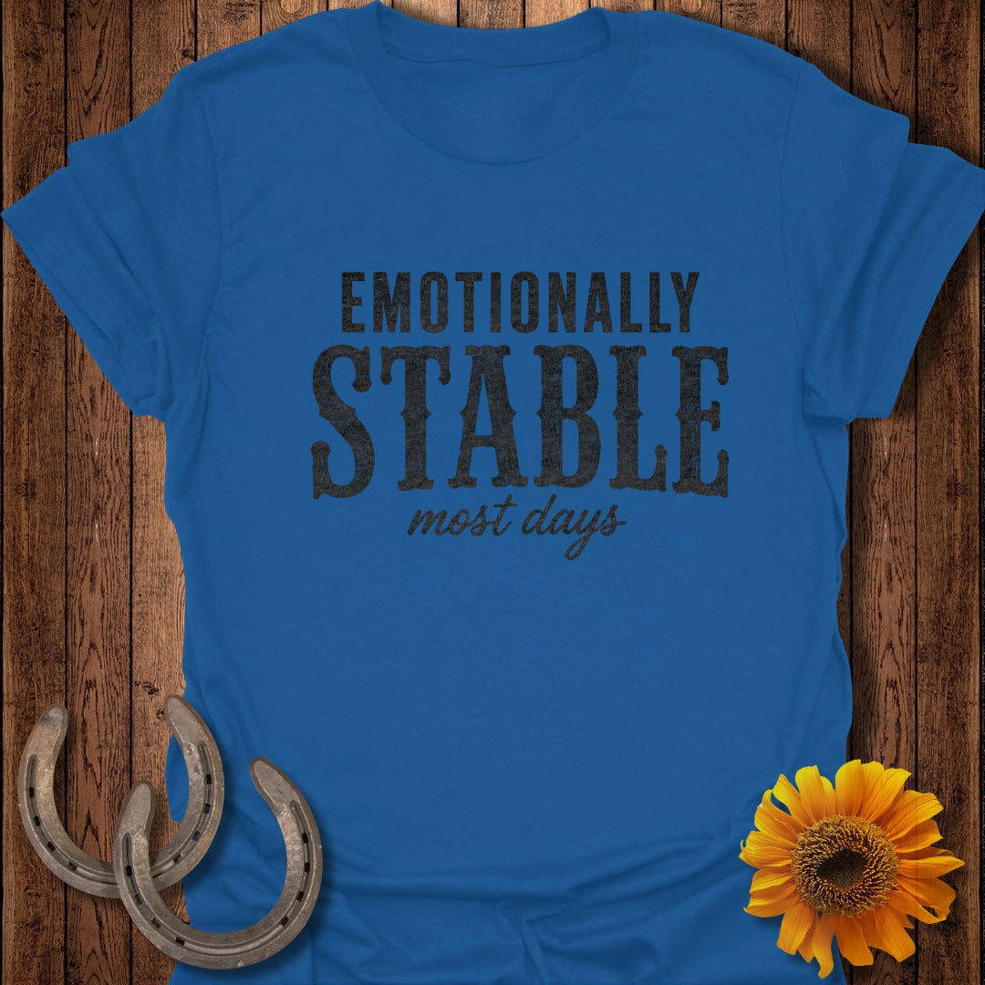 Royal blue t-shirt with "EMOTIONALLY STABLE most days" in black text.