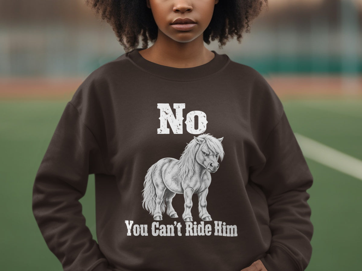 A person wears a brown crewneck sweatshirt featuring a graphic of a pony and the text No You Can't Ride Him.