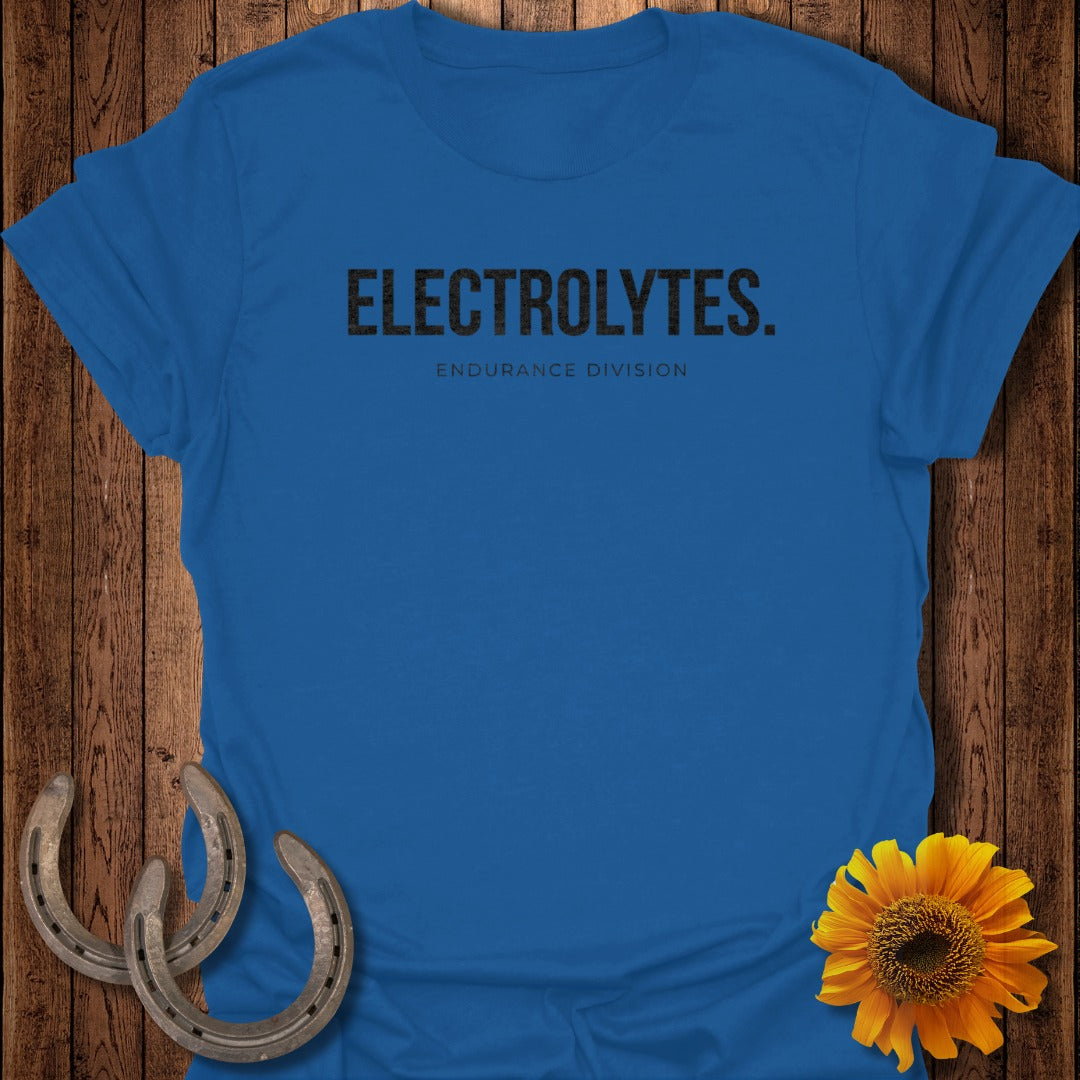 Electrolytes Endurance Division Blue T-shirt