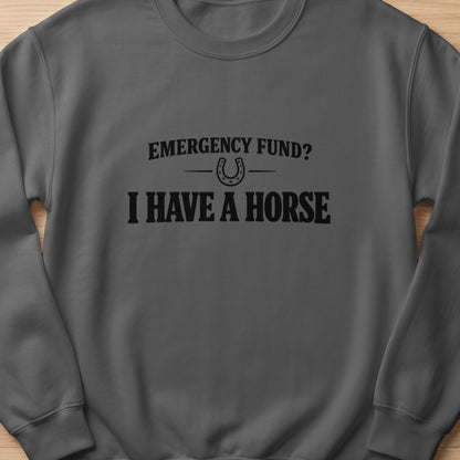 Dark grey sweatshirt with black text: "EMERGENCY FUND? I HAVE A HORSE" and horseshoe graphic.