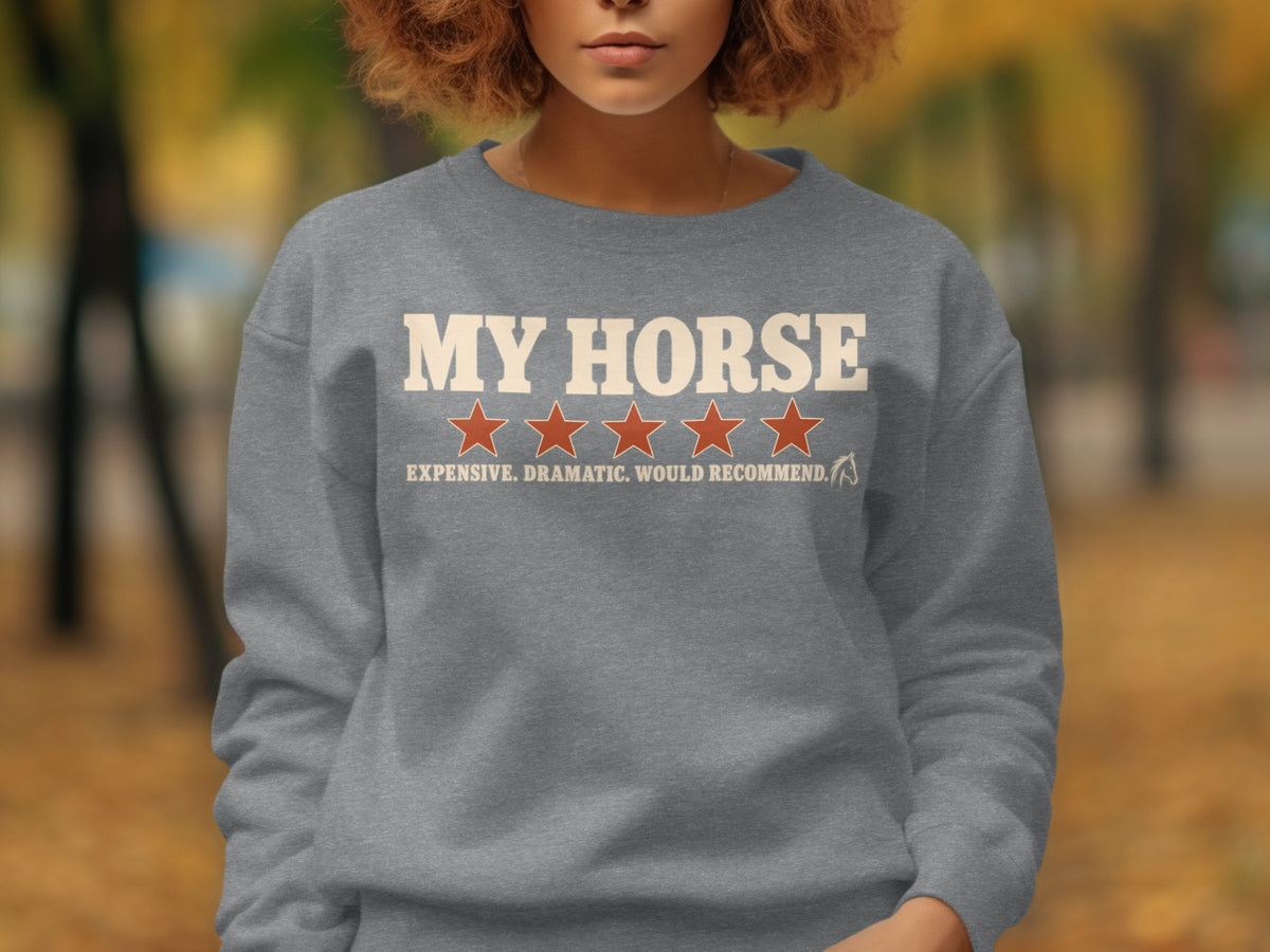 Grey sweatshirt with "MY HORSE" and four orange stars.